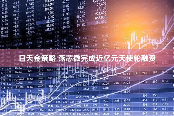 日天金策略 燕芯微完成近亿元天使轮融资